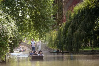 Descubre cambridge desde el río en un tour compartido en punting, guiado por locales que cuentan historias y curiosidades. incluye 45 minutos navegando por los famosos backs del río cam.