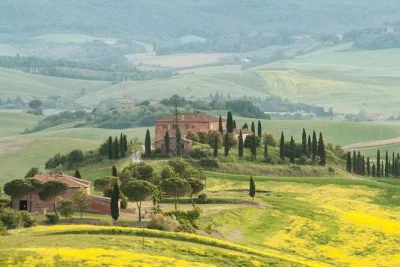 Private val d'orcia food and wine tour from siena. taste brunello wines, homemade pasta, pecorino cheese, olive oil, and balsamic vinegar in a local home.