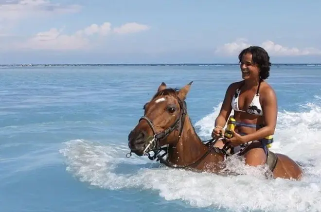 Cavalgada no Blue Hole, Ocho Rios: Nade com os cavalos