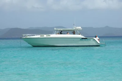 Feel the breeze on a st john snorkeling tour with powerboat, breakfast, open bar, and buffet lunch. includes snorkeling gear and local guide. cruise guests welcome.