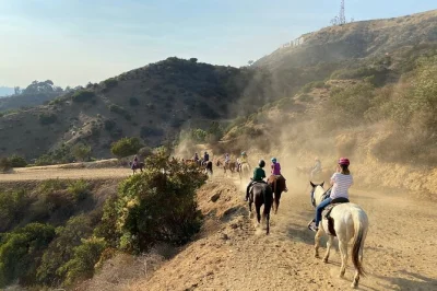 Scopri los angeles a cavallo lungo il mulholland trail di griffith park, con viste ravvicinate sul celebre hollywood sign, lo skyline di la e l’oceano pacifico. casco incluso.
