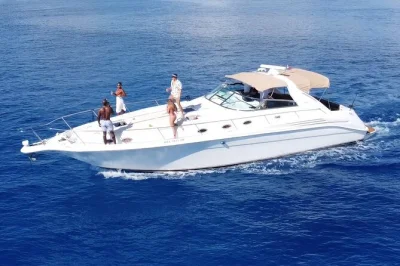 Feel the sea breeze on a private yacht from puerto aventuras, snorkel coral reefs near tulum, relax on a quiet beach, and enjoy fresh ceviche with drinks included.