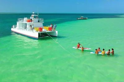 Vivez l’air salin sur un banc de sable à key west, observez les dauphins sauvages dans la réserve marine de floride, et savourez un déjeuner avec bière, vin et mimosas à volonté.