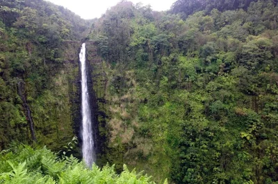 Feel the spray at akaka falls, walk ancient lava fields, and see kilauea’s caldera on a big island day trip from kona. includes hotel pickup and picnic lunch.