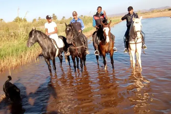 À cheval ou chameau sur les décors de cinéma à Ouarzazate