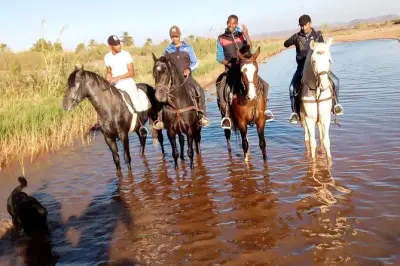 À cheval ou chameau sur les décors de cinéma à Ouarzazate