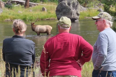 Watch bison, wolves, and elk in yellowstone’s lamar valley on a guided van tour from west yellowstone with lunch, hot drinks, and spotting scopes included.