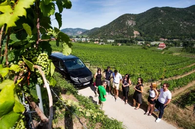 Leave vienna for a day in the wachau valley, tasting local wines, exploring dürnstein, and cruising the danube. includes guide, tastings, and comfortable transport.
