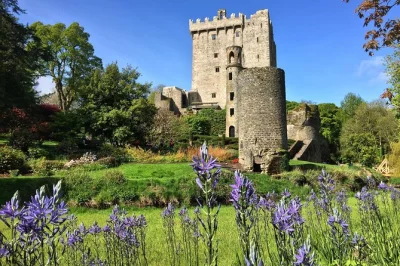 Feel the cool stone at blarney castle, wander cork’s lively streets, and taste kinsale’s seafood—all in one day from your ship, with local stories and entry included.