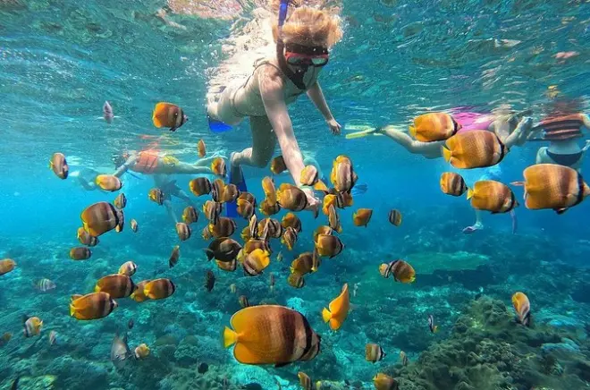 Snorkel en Nusa Penida: 4 lugares con mantarrayas