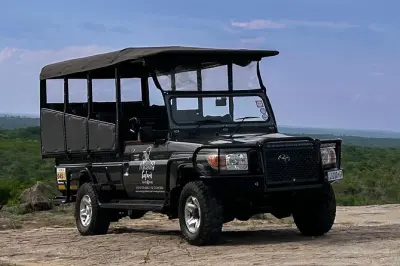 Safari de día completo en Kruger: Big 5 con guía profesional