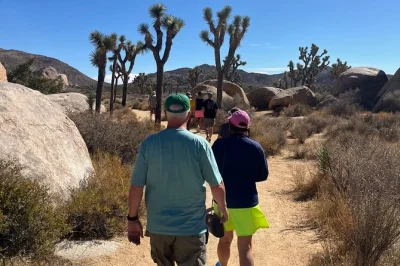 Explore as paisagens surreais de joshua tree, escale rochas antigas e aproveite vistas incríveis do vale de coachella em um tour privado de 4 horas com guia e lanches inclusos.