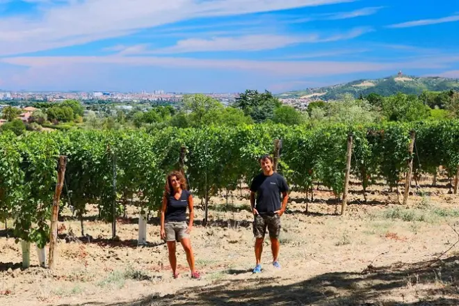 Wine tasting on Bologna hills: Guided by the winemaker