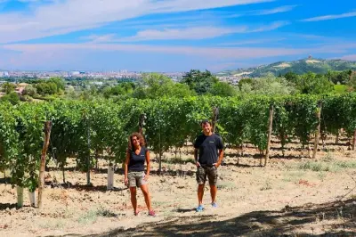 Wine tasting on Bologna hills: Guided by the winemaker