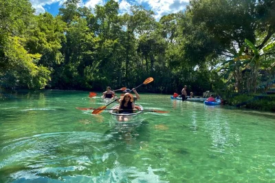 Explore weeki wachee de caiaque transparente e veja de perto peixes-boi, tartarugas e golfinhos. remada guiada com todo equipamento e fotos inclusas.