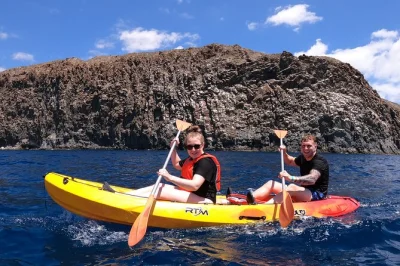 Explore tenerife remando pelas falésias selvagens, faça snorkel com tartarugas e aviste golfinhos — passeio guiado, equipamento incluso, ideal para famílias o ano todo.