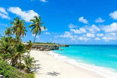 Feel the pulse of barbados on a full island sightseeing tour—history at garrison savannah, wild cliffs at north point, bathsheba’s surf, plus lunch and hotel pickup.
