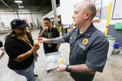 Entdecke memphiss craft-brauereien, probiere bis zu 12 biere und lausche spannenden geschichten von deinem bier-guide. inkl. snacks und klimatisiertem transport.