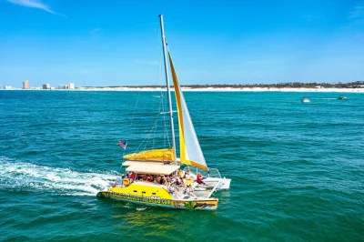 Watch wild dolphins from a 40-foot catamaran off panama city beach, sip a complimentary drink, and relax with music as local guides share stories. includes drinks & easy boarding.