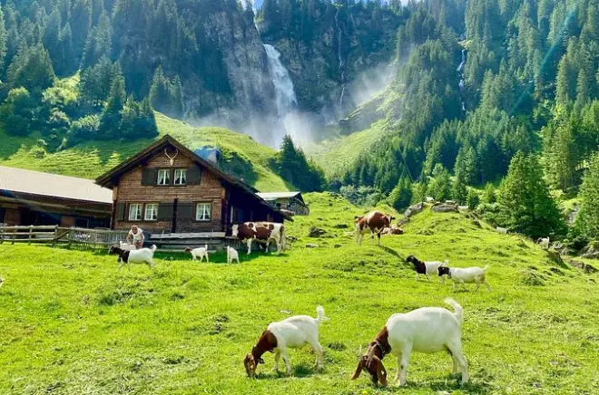 Private Tour ab Zürich: Vierwaldstättersee, Altdorf, Klausenpass