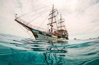 Desde kos navega hacia kalymnos, pserimos y platy en un velero de madera, disfruta avistamiento de delfines, paradas para nadar, degustación de miel local y un almuerzo griego. incluye audioguía.