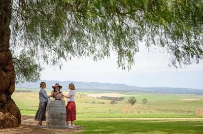 Barossa Valley Food & Wine Tour: Full-Day Tastings