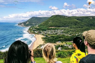 Feel the salt air on the grand pacific drive, meet koalas with a keeper, hike to waterfalls in the southern highlands, and taste local wine—includes lunch & pickup.