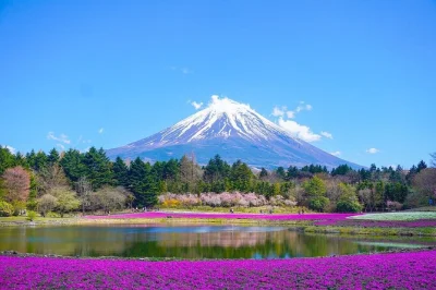 Sinta o frio na 5ª estação do monte fuji, caminhe pelos campos de lavanda do parque oishi e aproveite o teleférico panorâmico — tudo com transporte privativo e horário flexível.