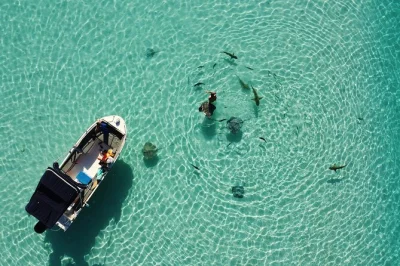 Swim with sharks and rays in bora bora’s lagoon, snorkel vibrant reefs, relax on a motu sandbank. small group, gear included, avoid the crowds.