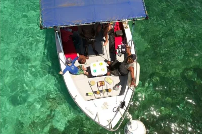 Guadeloupe lagune entdecken: schnorcheln am wrack, schildkröten beobachten und bbq-lunch auf Île la biche – inklusive getränke.