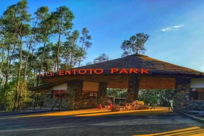 Découvrez addis-abeba avec une excursion au mont entoto, ses musées, le marché shiro meda et un déjeuner typique. transport, entrées et guide inclus.