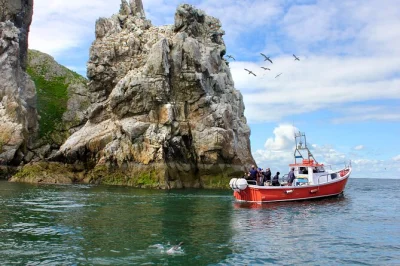 Feel the sea air on a howth coastal boat tour, with close-up views of ireland’s eye, wild seabirds, and seals. includes live commentary, local music & small group setting.
