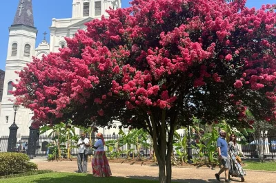 Erlebe das pulsierende french quarter in new orleans bei einer kleinen gruppenführung – entdecke jackson square, die st. louis cathedral und den french market mit spannenden geschichten vom guide.