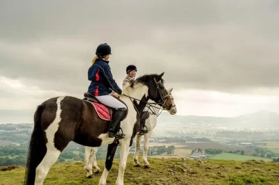 Feel the wind in wicklow on a small group day trip from dublin with horse riding, glendalough walks, and lunch in enniskerry. includes pickup at molly malone.