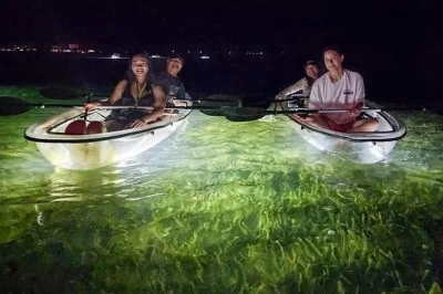 Glide sarasota’s waters in a clear kayak with led lights, spotting sea life below. includes glass bottom kayaks, shell nets, and a local guide for your night paddle.