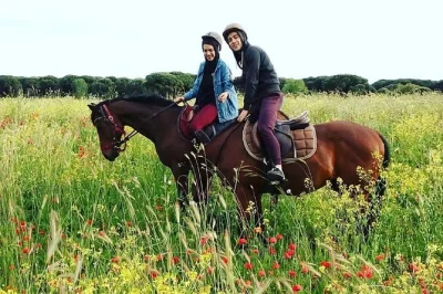 Descubre la tranquilidad de los pinares de roma a caballo, conoce caballos rescatados y recorre las ruinas antiguas de ostia antica. incluye guía, cascos y degustación de comida.
