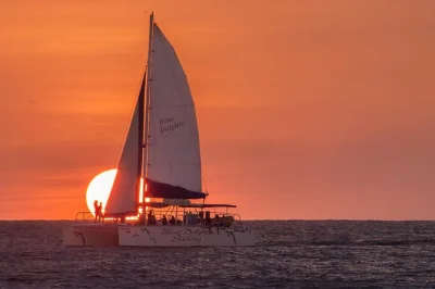 Feel the pacific breeze on a tamarindo catamaran tour—swim, snorkel, sip drinks, and watch the sunset. includes lunch, open bar, and water activities.
