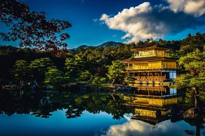 Découvrez kyoto en voiture privée : forêt de bambous, pavillon d’or, fushimi inari et plus encore. itinéraire flexible, chauffeur anglophone, prise en charge à l’hôtel incluse.