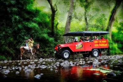 Hear fijian stories inside naihehe cave, share kava with locals, and enjoy a bbq lunch by the river. includes transport, guide, and village visit from sigatoka.