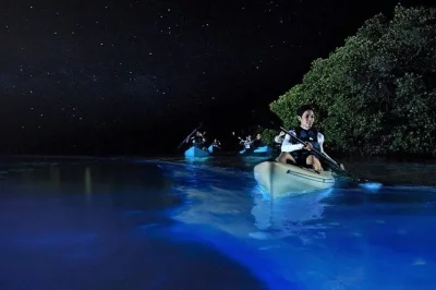 Scopri la magia della bioluminescenza in kayak a holbox, con guida locale e trasferimento dall’hotel incluso per punta mosquito.