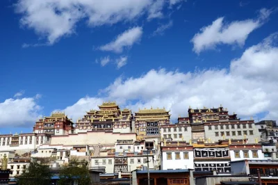 Experience songzanlin monastery, hike napa lake meadows, and enjoy a real tibetan lunch with locals on this private shangri-la day tour.