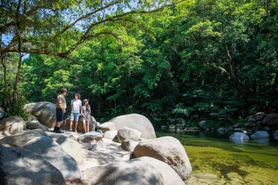 Feel the ancient daintree rainforest, cruise the river for crocs, walk cape tribulation beach, and taste orchard ice cream—all with pickup from cairns.