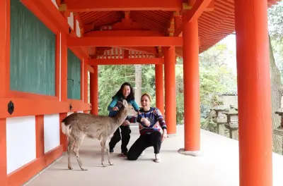 Private Tour in Nara mit Großem Buddha und Sake-Verkostung ab Kyoto