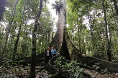 Amazonas Dschungel Tour: Flussdelfine & Nächte im Regenwald