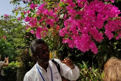 Feel the pulse of st. kitts with a local guide—explore brimstone hill fortress, romney manor batik, basseterre drive, and unwind at a caribbean beach. includes pickup.