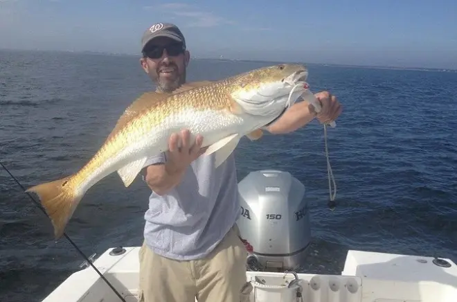 Pensacola Beach Deep Sea Fishing Charter: Bigger Fish, 5 Hours