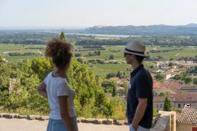 Let yourself taste châteauneuf-du-pape wines on an afternoon tour from avignon. includes two cellar tastings, panoramic views, and return transport with a local guide.