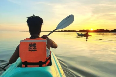 Holbox e le sue mangrovie all’alba: pagaia con guida locale, avvista fenicotteri e coccodrilli. trasporto privato e frutta fresca inclusi.