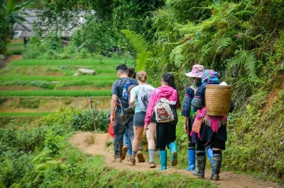 Follow mountain trails through sapa’s rice terraces, visit hmong & giay villages, share a local lunch, and return by car. includes hotel pickup and entry fees.