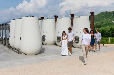 Feel the fizz in valdobbiadene with a cartizze prosecco tasting, organic vineyard stroll, cellar tour, and local appetizers—all with a guide and included entry.